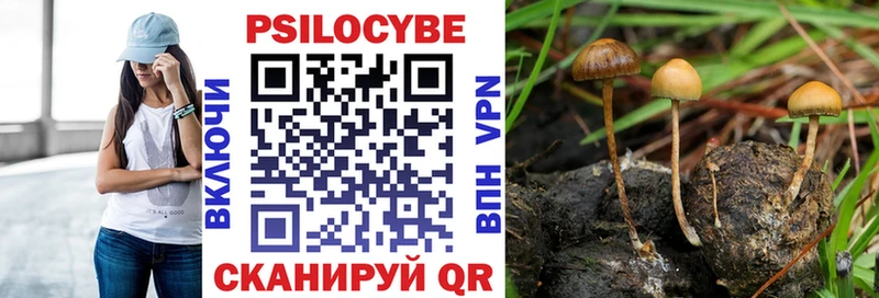 Галлюциногенные грибы Psilocybine cubensis  Купить  Костерёво 